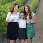 A Vinařství U Vrbů Casa de hóspedes Hustopeče