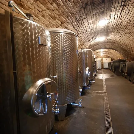Gasthuis A Vinarstvi U Vrbu Hustopeče
