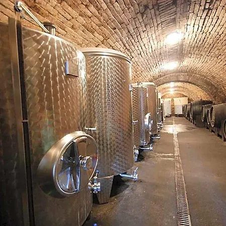 A Vinarstvi U Vrbu