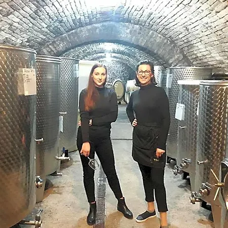 A Vinarstvi U Vrbu 3*