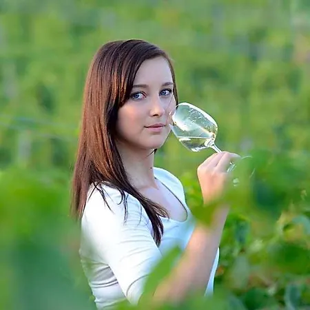 A Vinarstvi U Vrbu