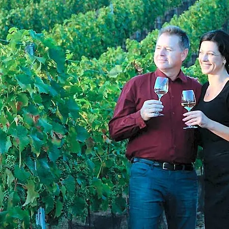 A Vinarstvi U Vrbu Gasthof Hustopeče