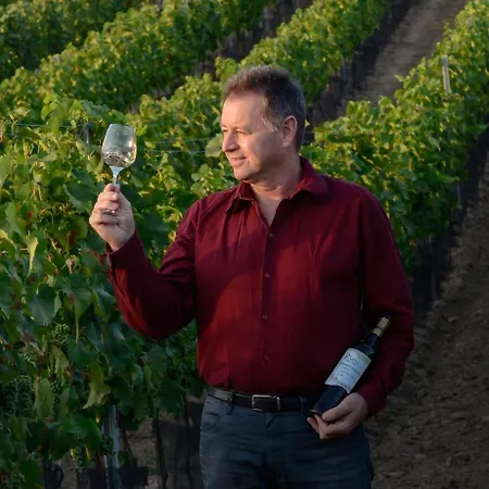 A Vinarstvi U Vrbu 3*