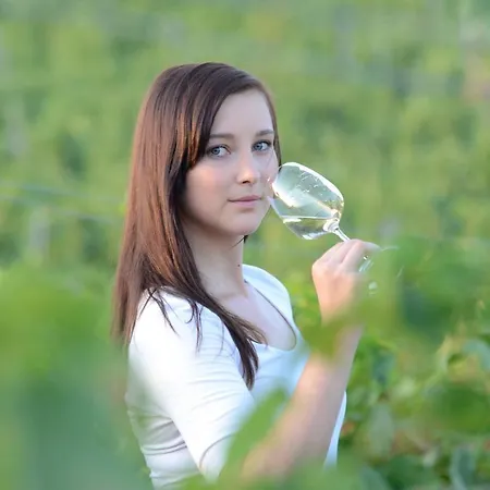 A Vinarstvi U Vrbu Hustopeče