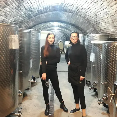 Gasthof A Vinarstvi U Vrbu 3*