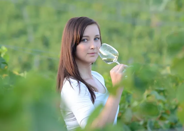A Vinarstvi U Vrbu Hustopeče