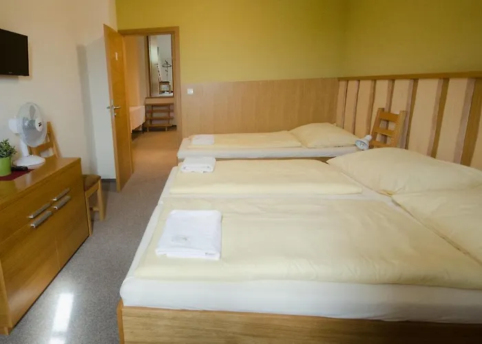 A Vinarstvi U Vrbu Gæstehus Hustopeče